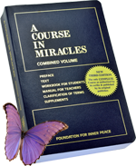 LACIM book and butterfly